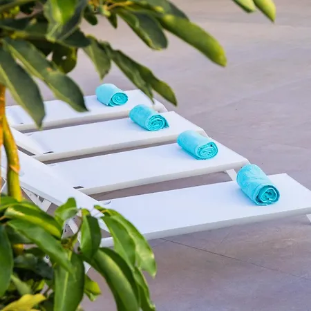 Macan * Teguise (Lanzarote)