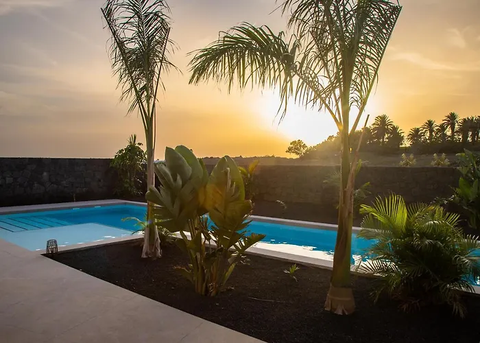 Macan * Teguise (Lanzarote)